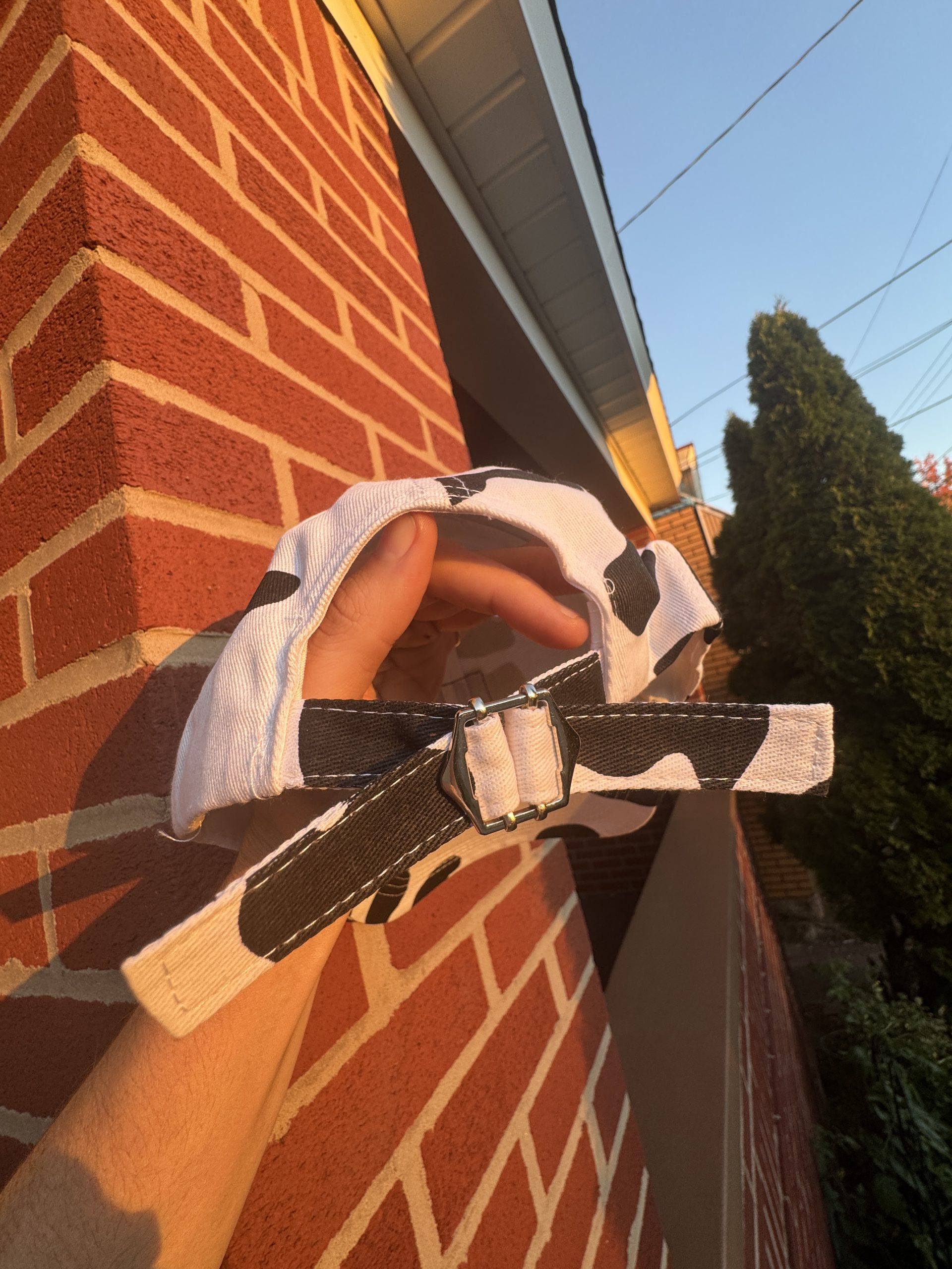 Cow-Chemists Dad Hat - Image 4