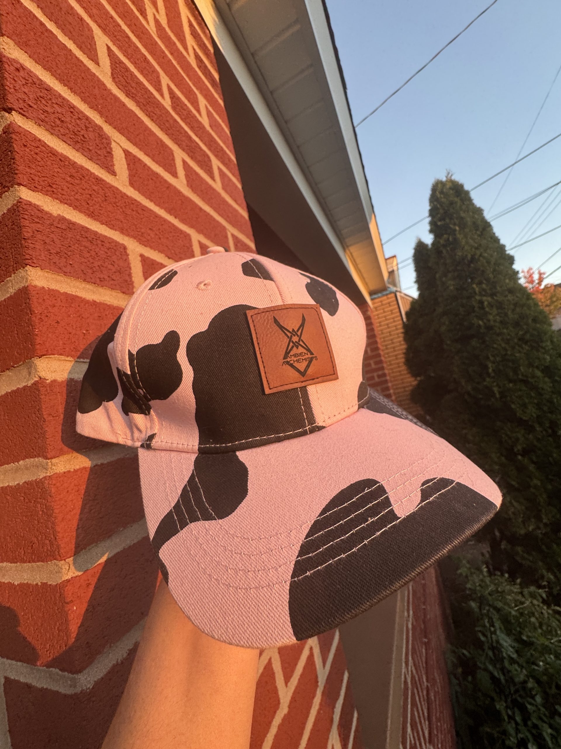 Cow-Chemists Dad Hat